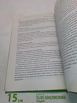 О чем думает кошка и как научиться ее понимать