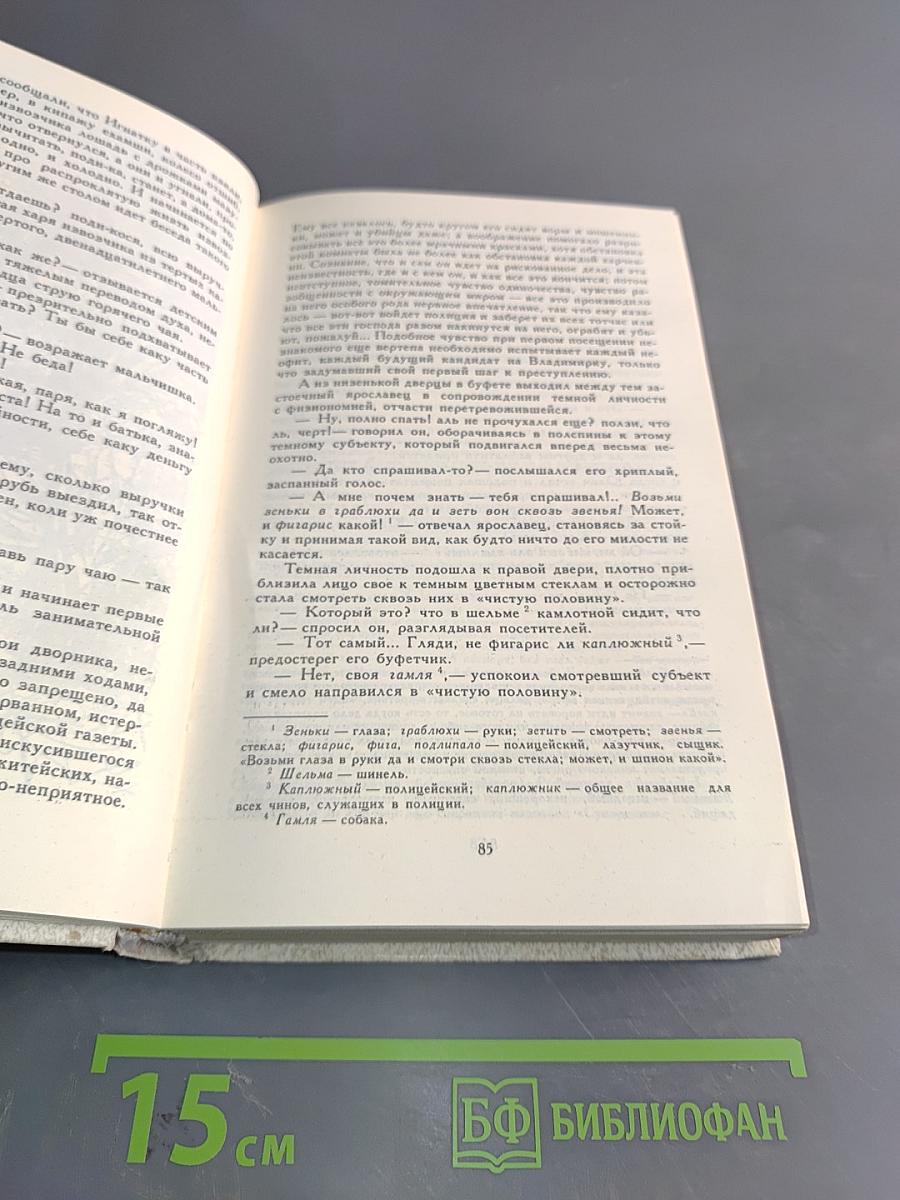 Петербургские трущобы (Книга о сытых и голодных)