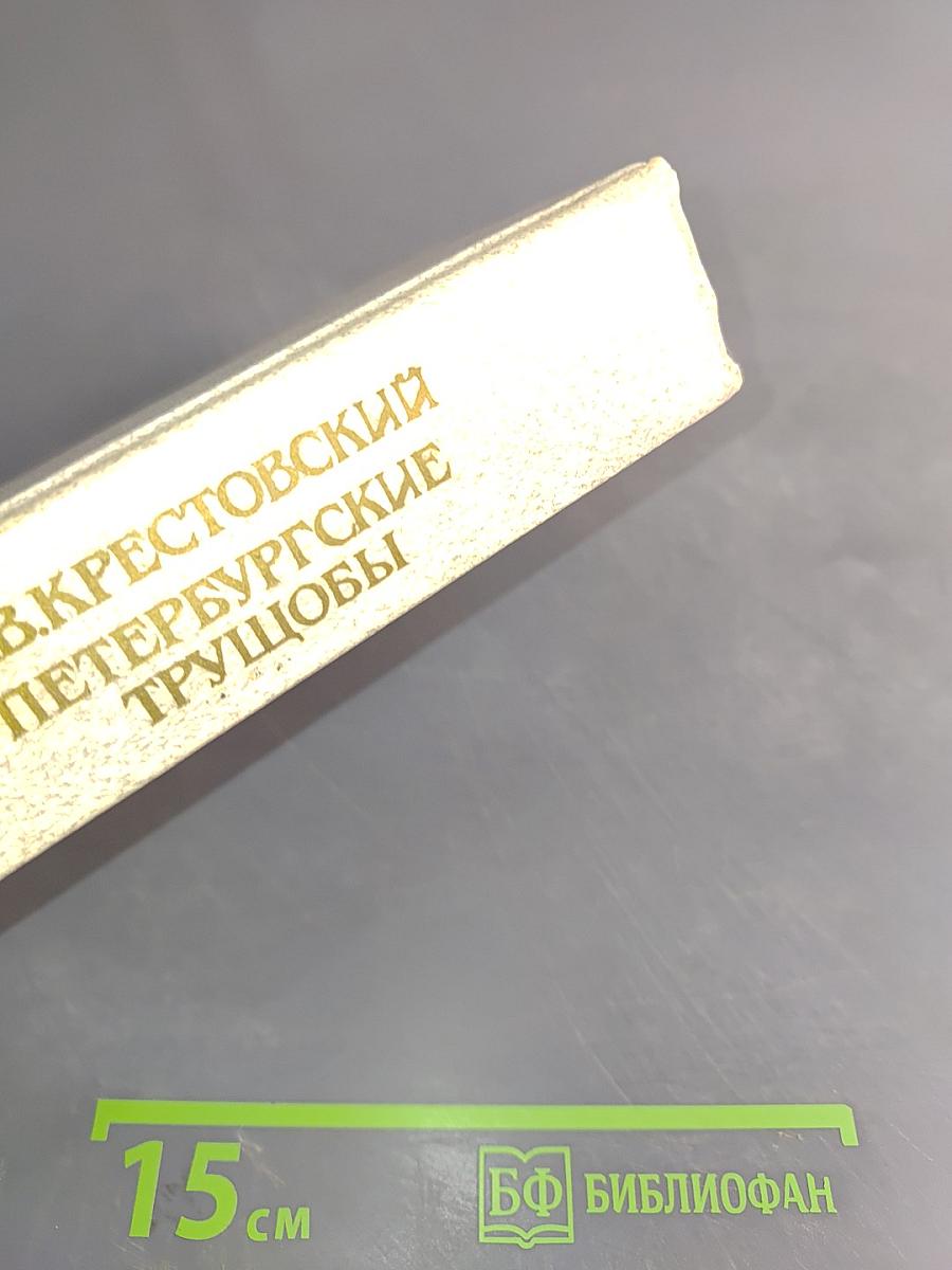 Петербургские трущобы (Книга о сытых и голодных)