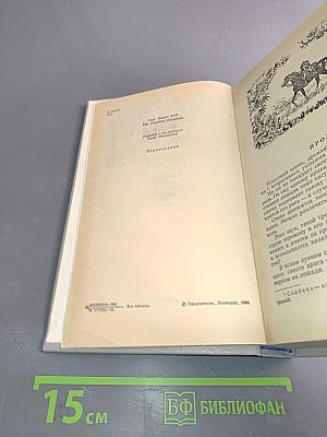 Всадник без головы