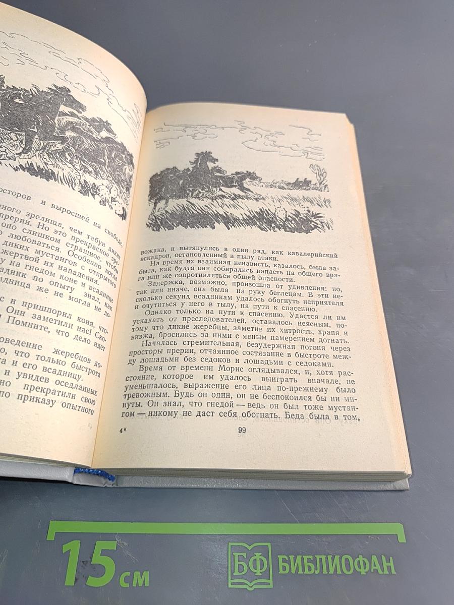 Всадник без головы