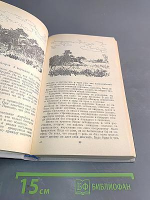 Всадник без головы