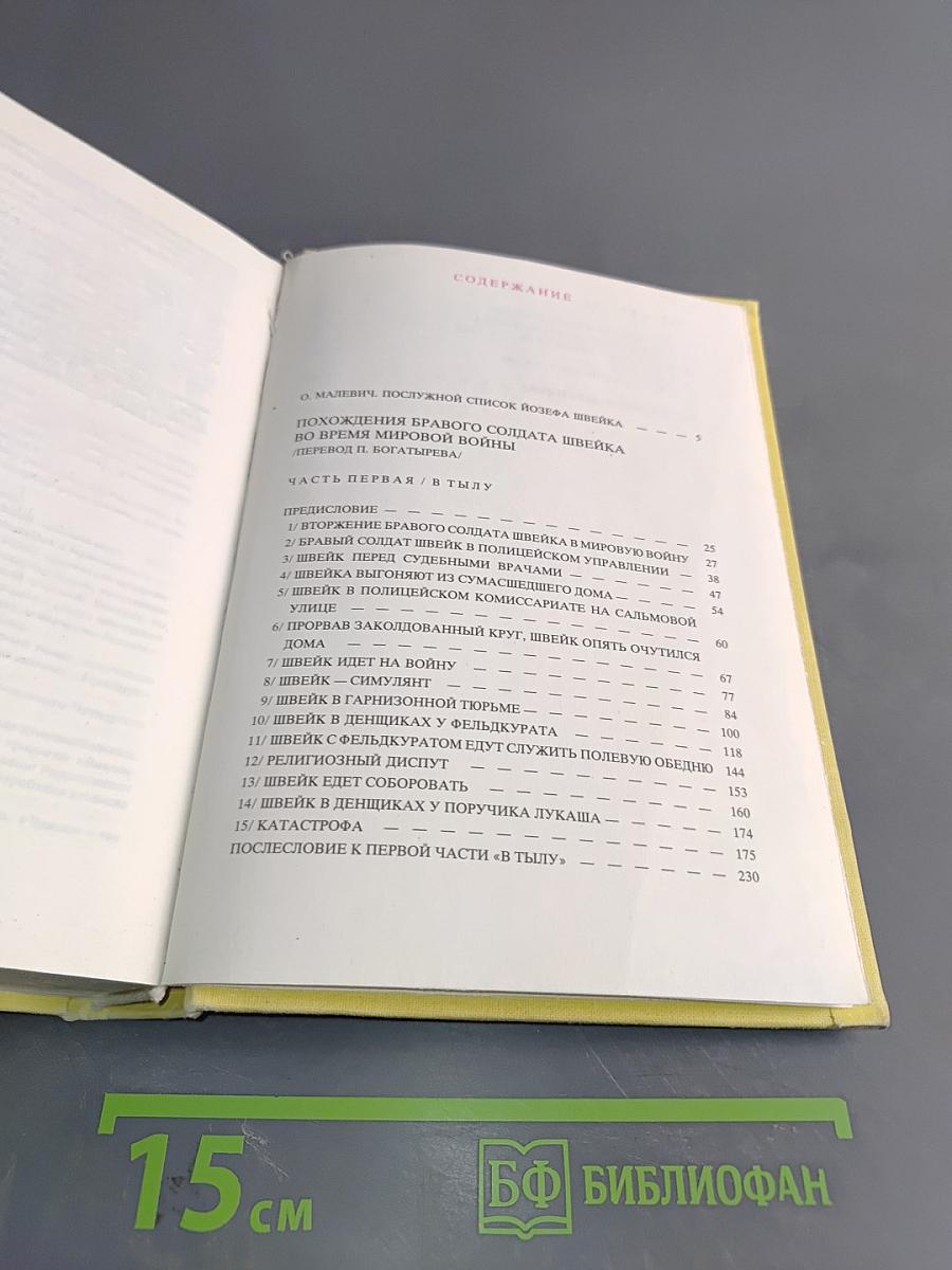 Похождения бравого солдата Швейка (1)