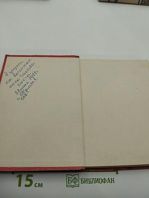 Тридцать три пирога