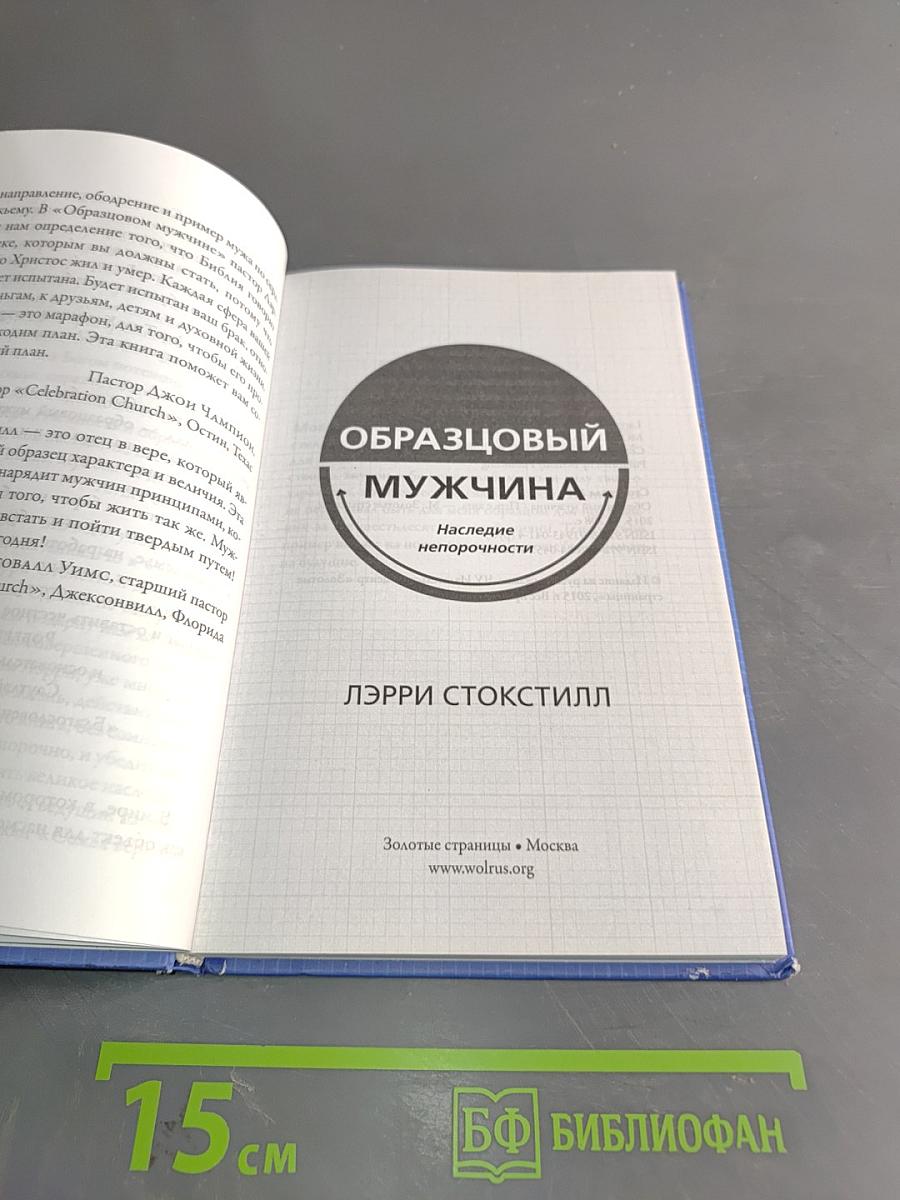 Образцовый мужчина