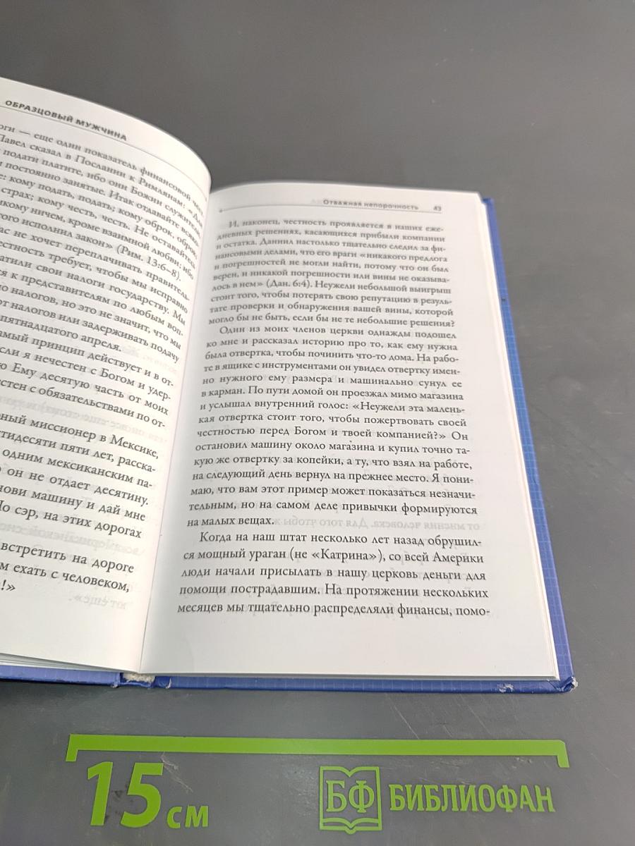 Образцовый мужчина