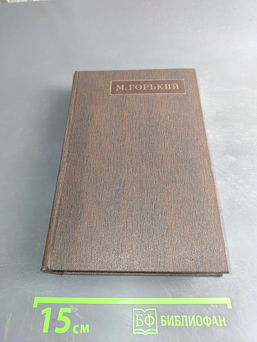 Собрание сочинений. Том девятнадцатый. Пьесы, сценарии, драматические наброски 1917-1935