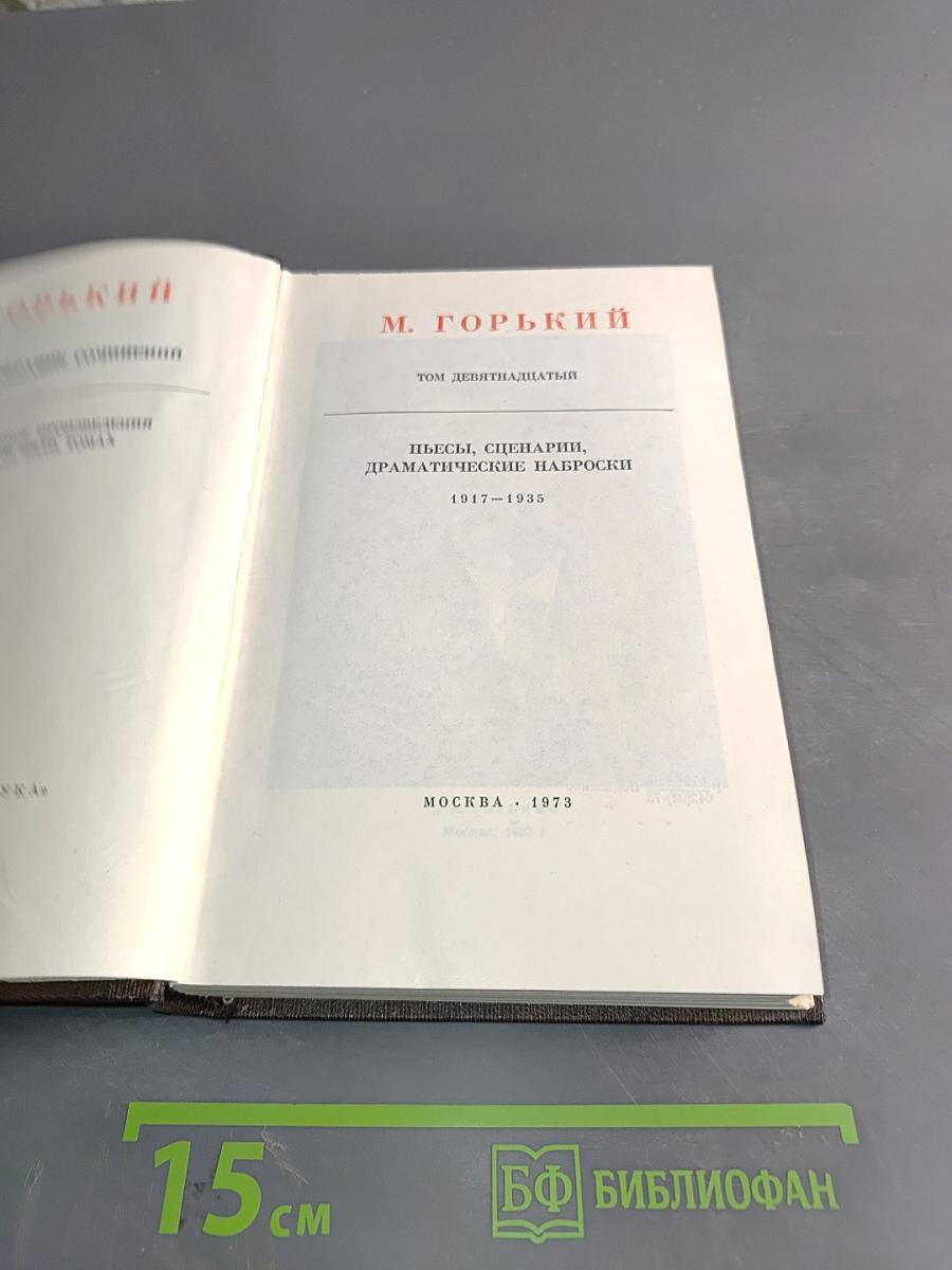 Собрание сочинений. Том девятнадцатый. Пьесы, сценарии, драматические наброски 1917-1935