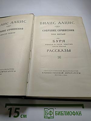 Собрание сочинений. Том пятый. Буря. Рассказы