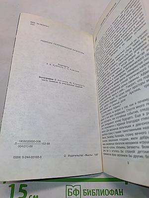Небоскребы над Лагуной