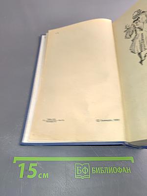 Слово и дело. Том 2. Мои любезные конфиденты