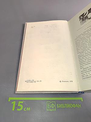 Дневник и память
