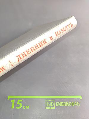 Дневник и память