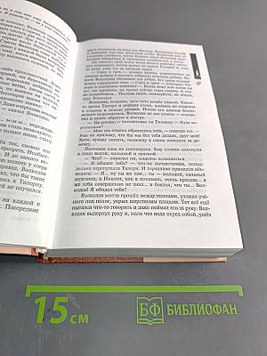 Волкодав