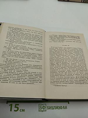 Памятник крестоносцу