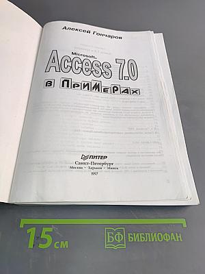 Access 7.0 в примерах