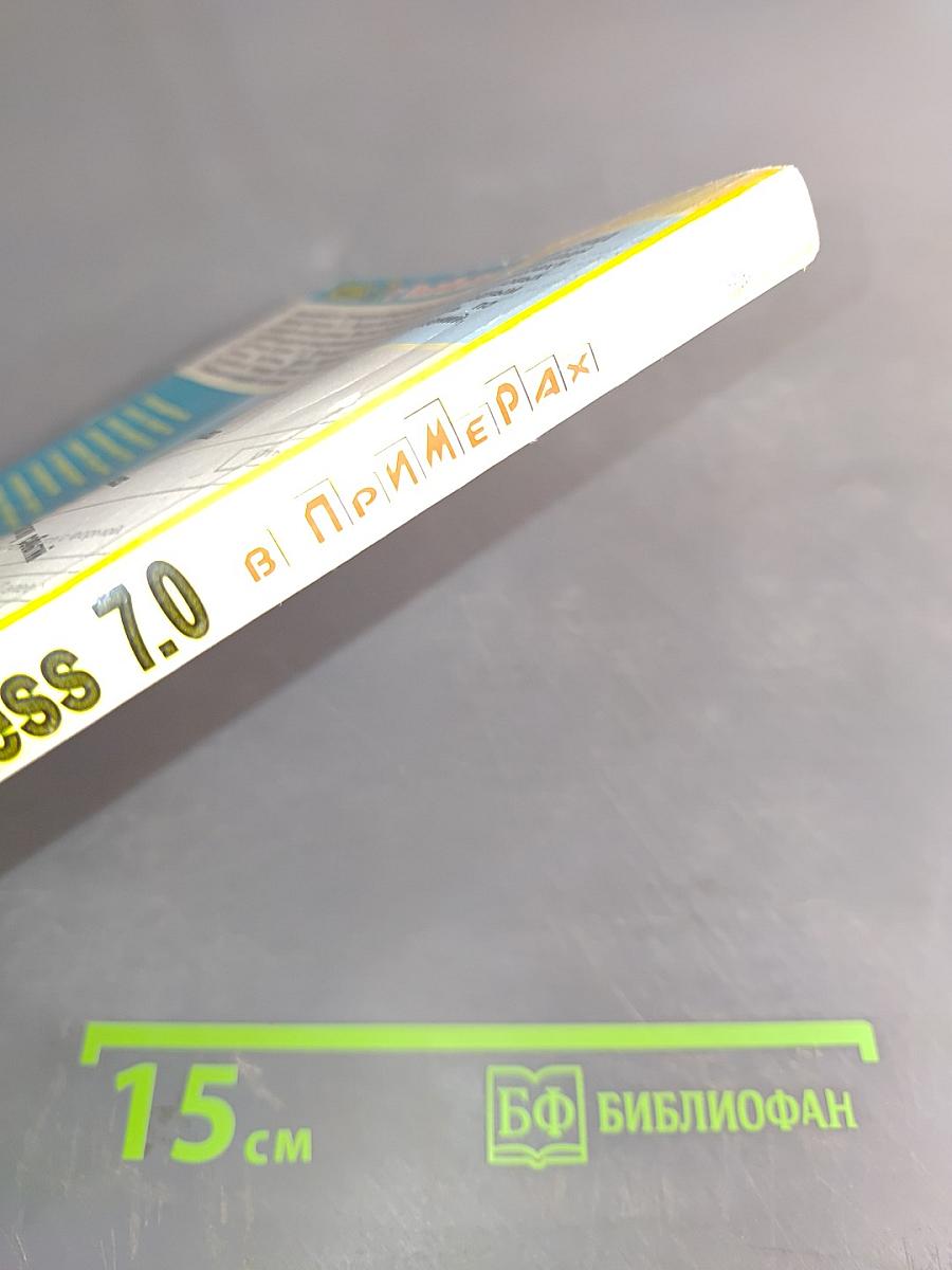 Access 7.0 в примерах
