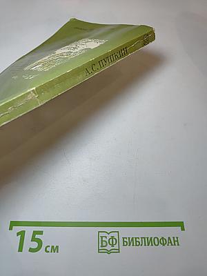 Повести Белкина. Дубровский. Капитанская дочка