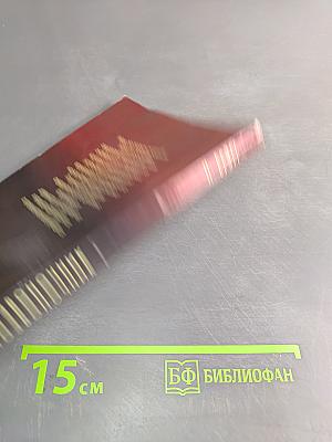 Позвоночник