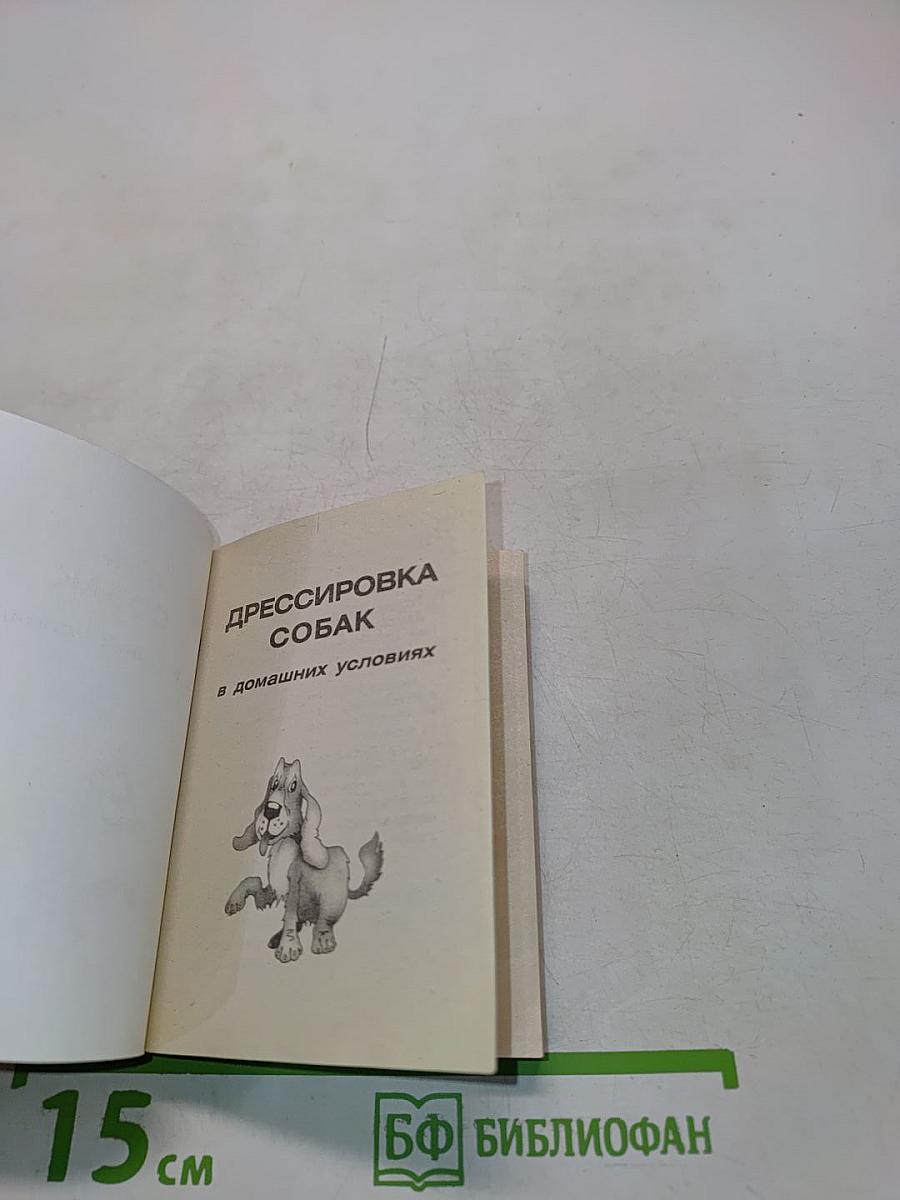 Дрессировка собак в домашних условиях
