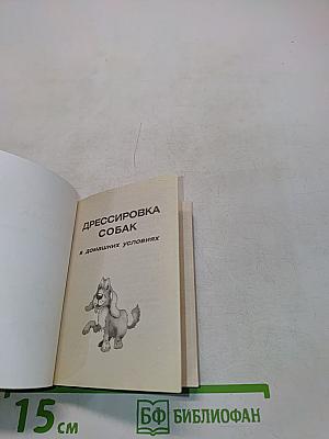 Дрессировка собак в домашних условиях