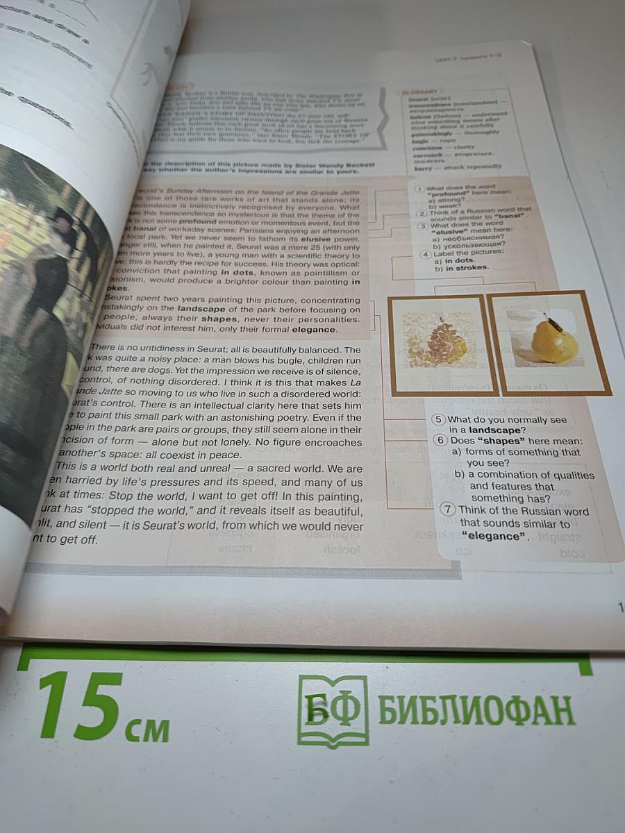 New Millennium English. Student's Book для 11 класса