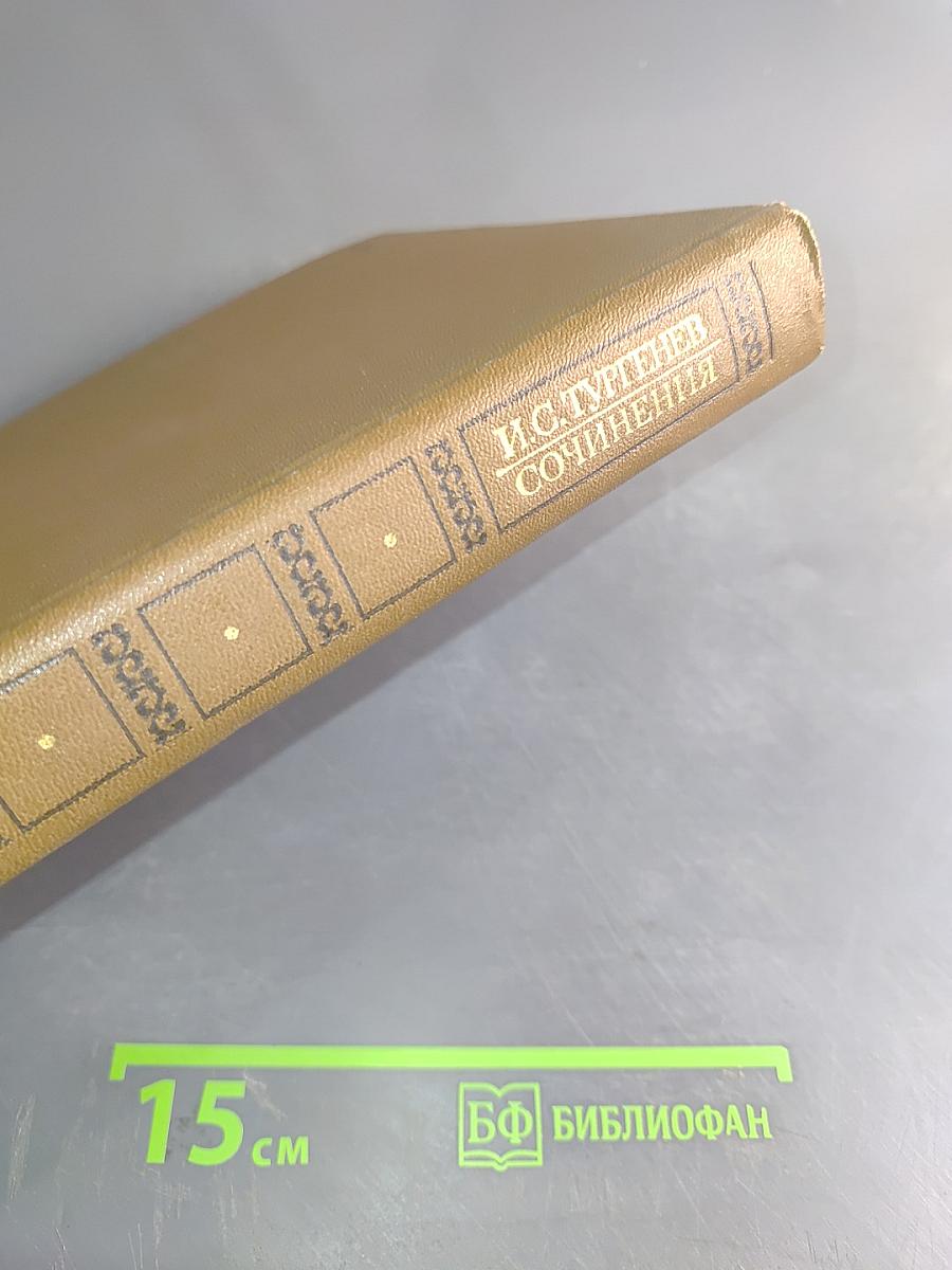Сочинения. Том второй. Повести и романы 1860-1876