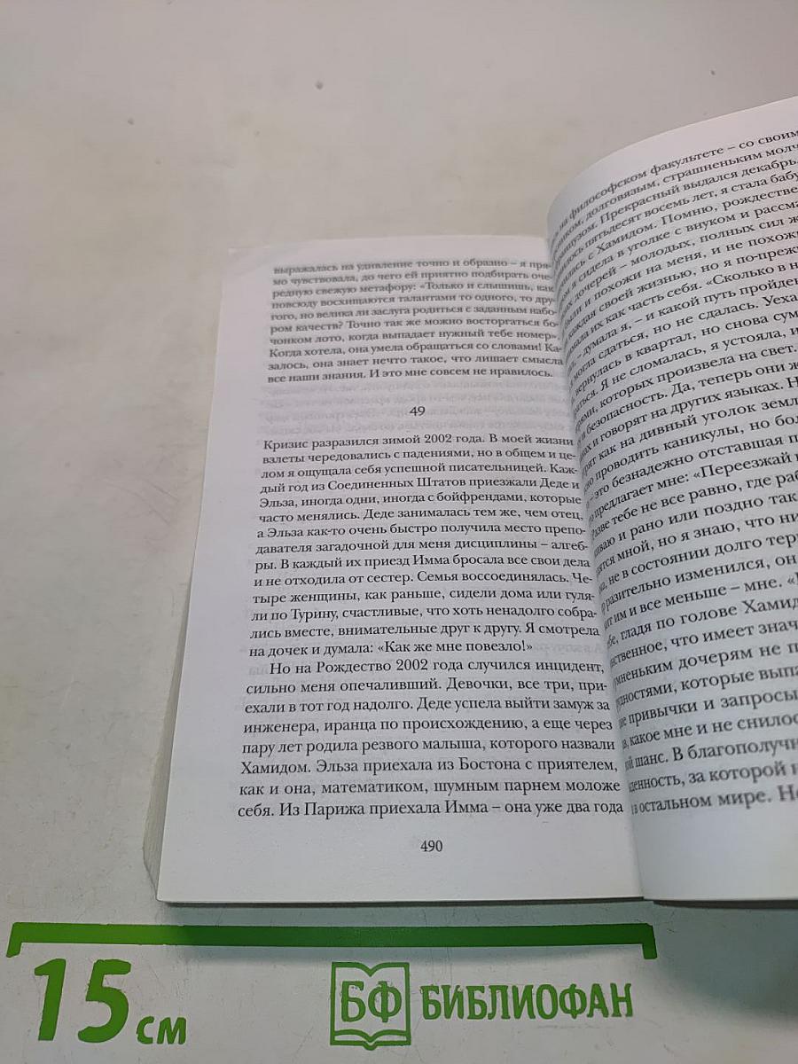 История о пропавшем ребенке. Моя гениальная подруга. Книга четвертая