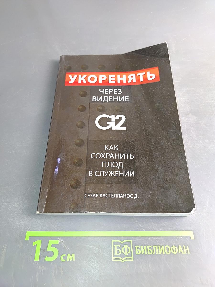 Укоренять через видение. Как сохранить плод в служении