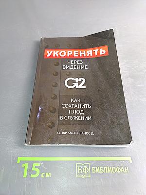 Укоренять через видение. Как сохранить плод в служении
