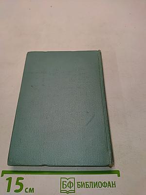 Собрание сочинений. Том второй. Стихотворения (Октябрь 1917-1924)