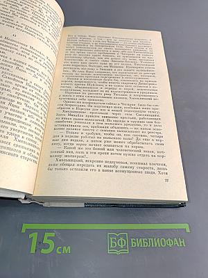Хмельницкий. Том 1. Книга первая и книга вторая