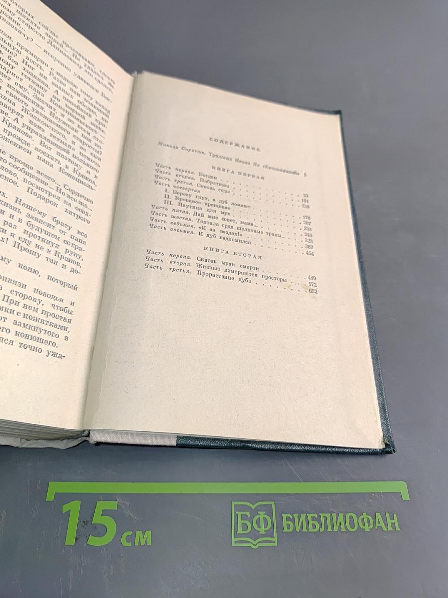 Хмельницкий. Том 1. Книга первая и книга вторая