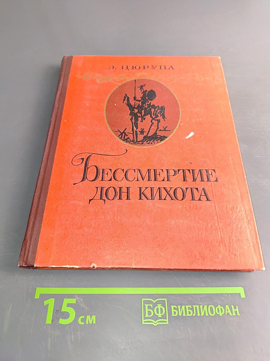 Бессмертие Дон Кихота