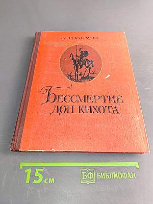 Бессмертие Дон Кихота