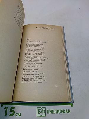 Библиотека современной молодежной прозы и поэзии в пяти томах. Том 5