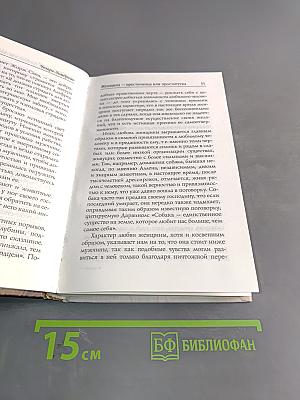 Женщина – преступница или проститутка
