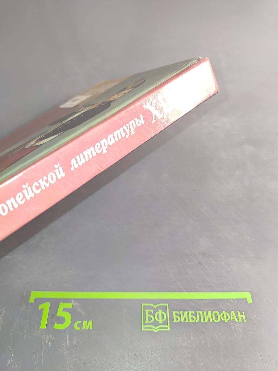 История западноевропейской литературы XIX века
