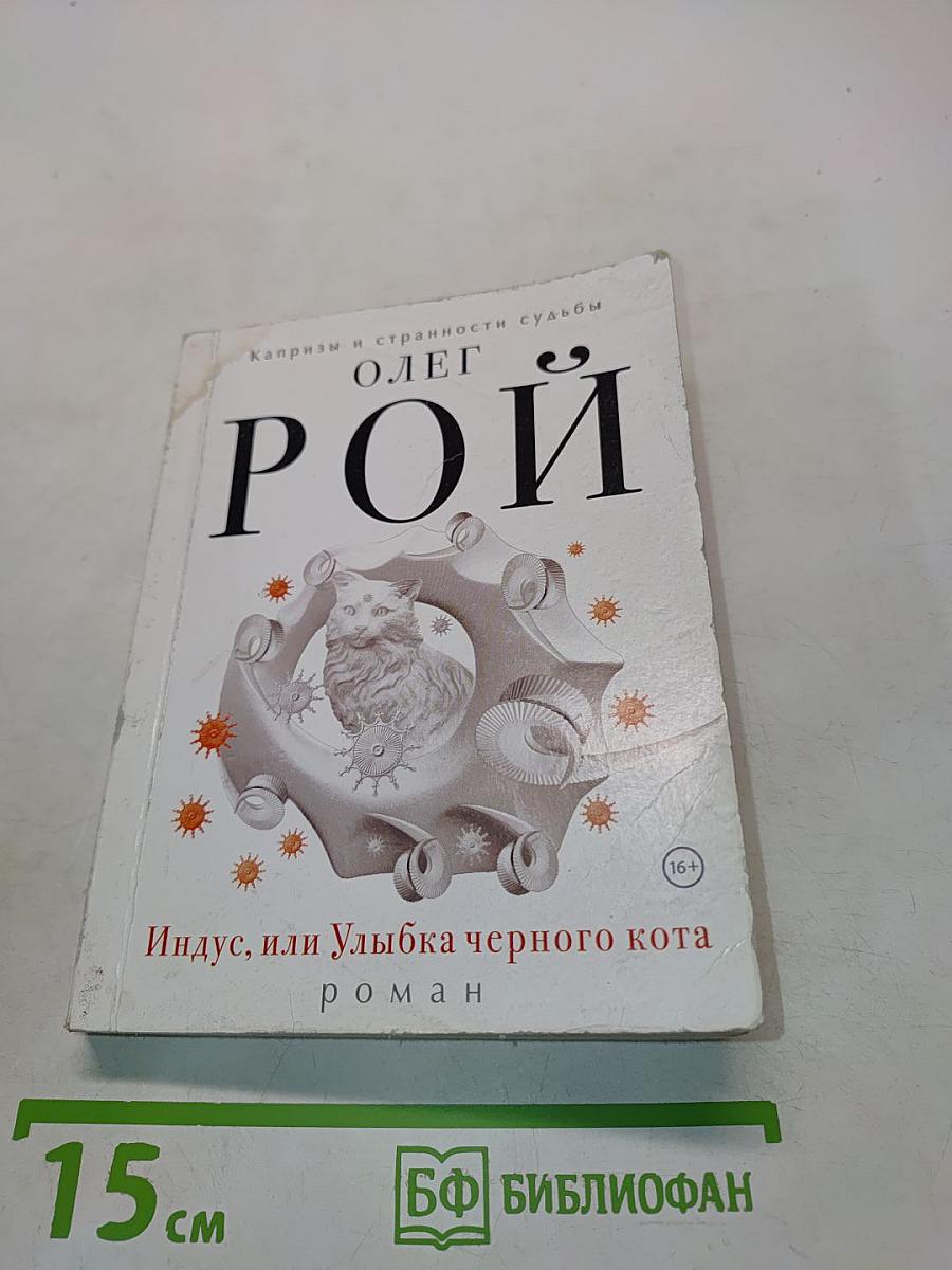 Индус, или Улыбка черного кота