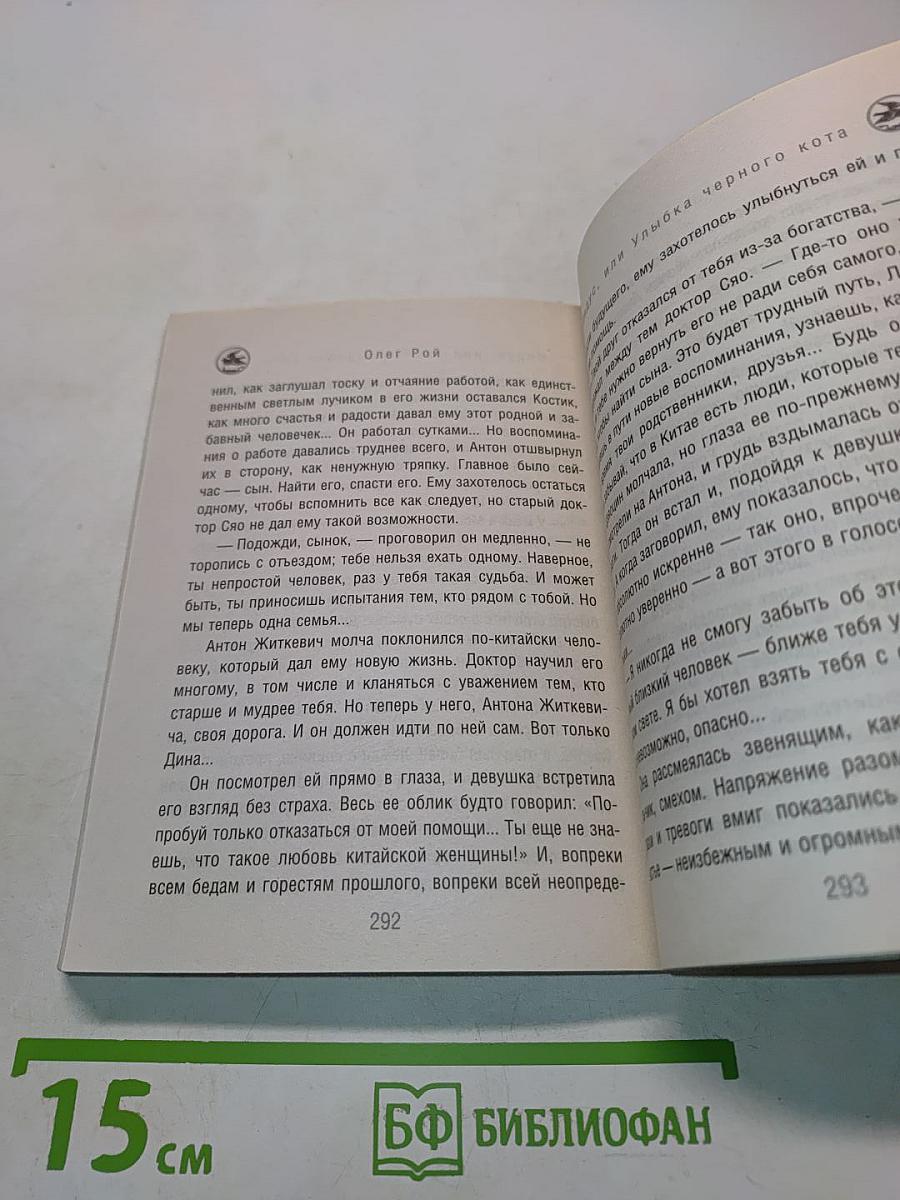 Индус, или Улыбка черного кота