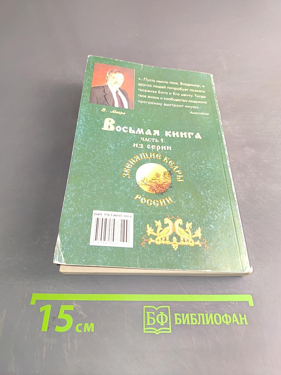 Новая цивилизация. Книга восьмая. Часть 1