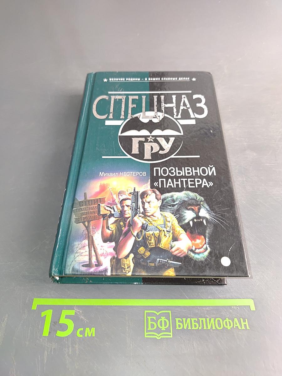 Спецназ ГРУ. Позывной «Пантера»