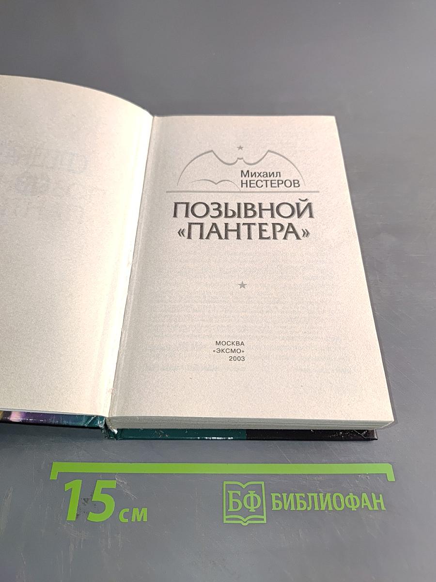 Спецназ ГРУ. Позывной «Пантера»
