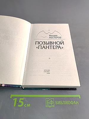 Спецназ ГРУ. Позывной «Пантера»