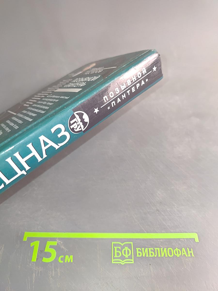 Спецназ ГРУ. Позывной «Пантера»
