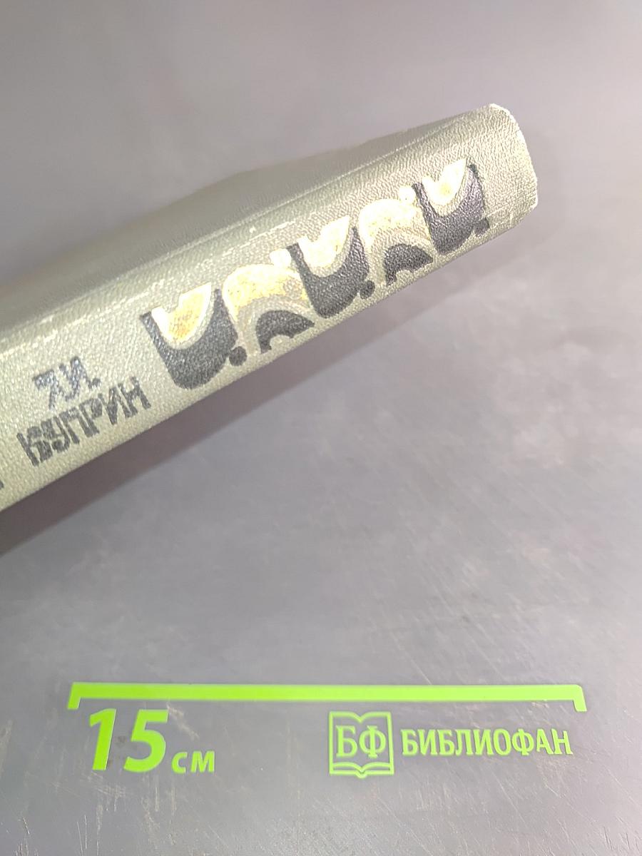 Собрание сочинений в двух томах. Том 1. Повести. Рассказы