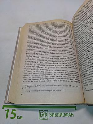 История зарубежной литературы XIX века