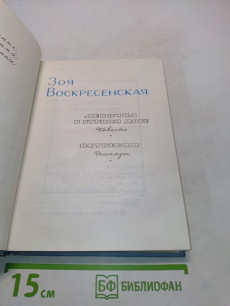 Девочка в бурном море. Встречи. Рассказы. Том 2