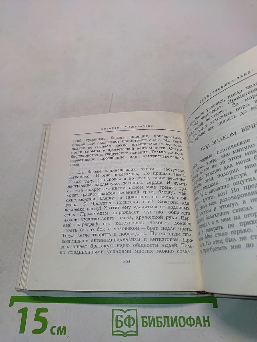 Ночные бабочки