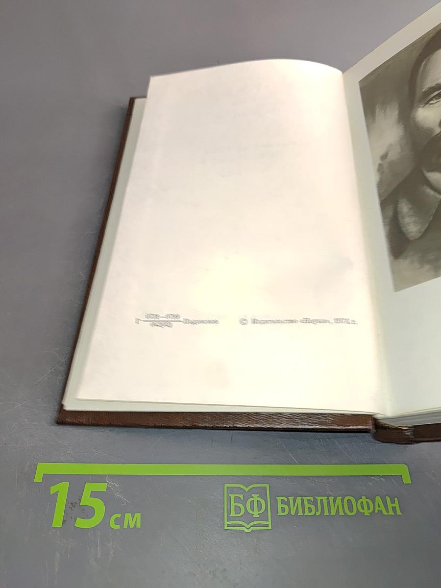 Собрание сочинений. Том двадцатый. Рассказы, очерки, воспоминания. 1924-1935